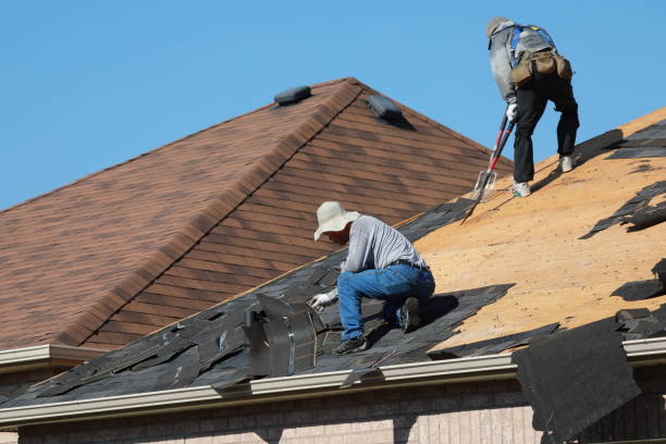 Professional Roofing services in Waldron, AR