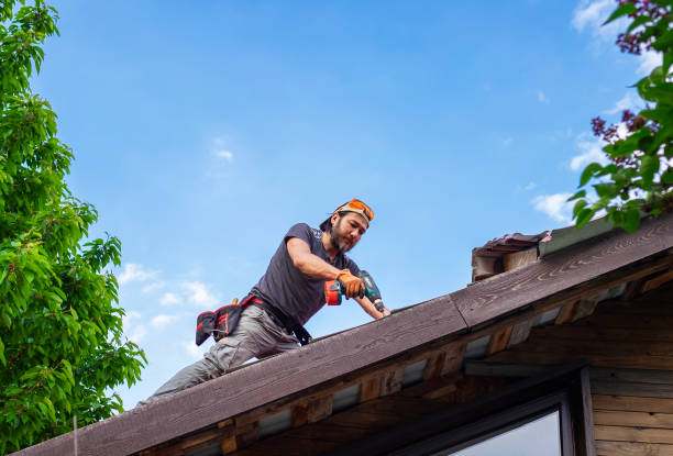 Best Sheet Metal Roofing  in Waldron, AR