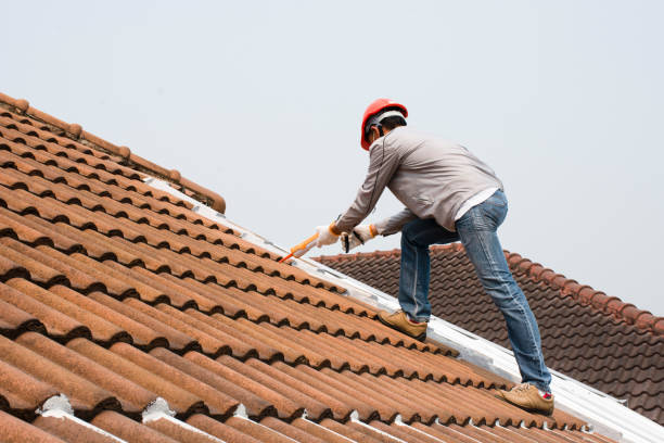 Steel Roofing in Waldron, AR